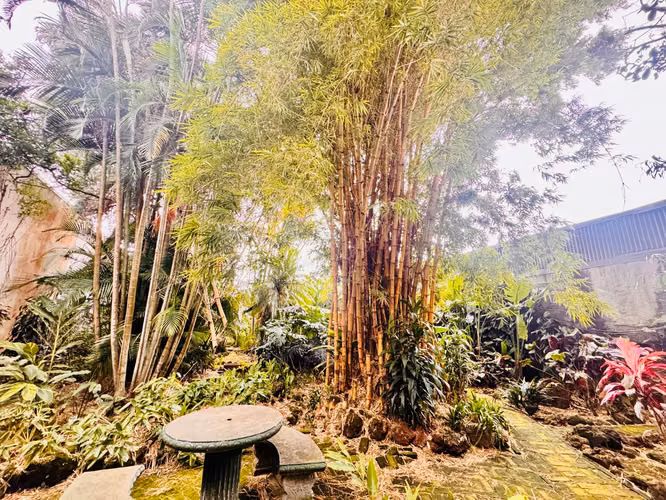 Venta de propiedad con uso de suelo mixto, sobre calle principal Sabanilla 43463 - Imagen 5