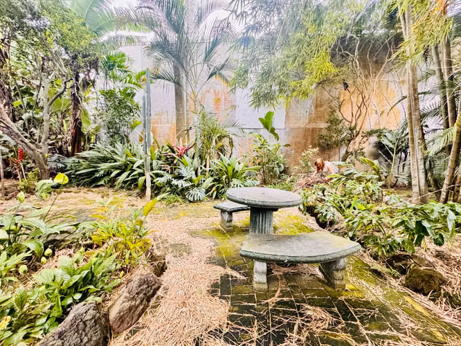Venta de propiedad con uso de suelo mixto, sobre calle principal Sabanilla 43463 - Imagen 15