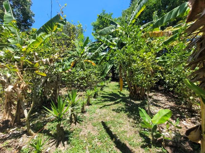 Terrenos en venta con vistas en San Antonio de Escazú - Imagen 7