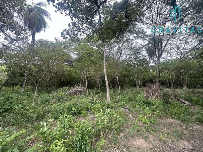 Venta de lotes en Liberia | 1350 m2 | A 10min del centro | F 583 - Imagen 7