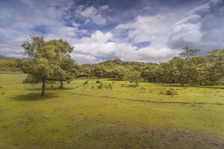 Finca de 32 Hectáreas en Santa Rosa, Guanacaste – Ideal para Proyecto de Quintas - Imagen 12