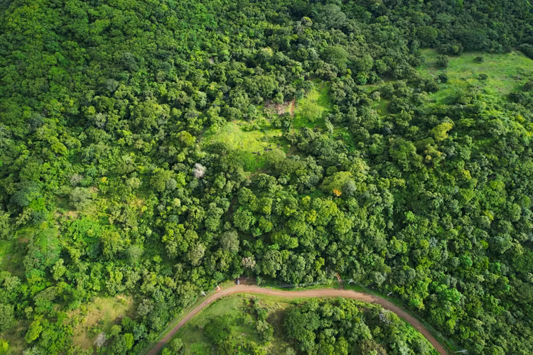 Finca de 32 Hectáreas en Santa Rosa, Guanacaste – Ideal para Proyecto de Quintas - Imagen 1