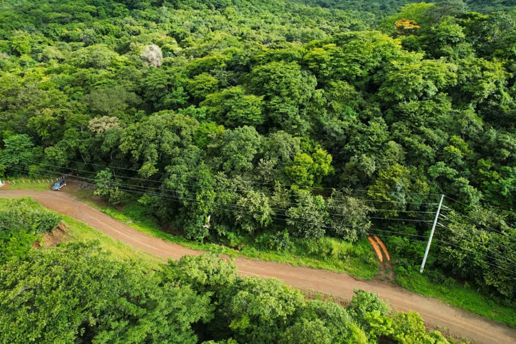 Finca de 32 Hectáreas en Santa Rosa, Guanacaste – Ideal para Proyecto de Quintas - Imagen 20