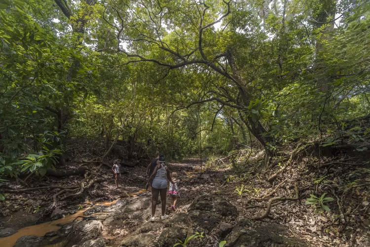 Finca de 32 Hectáreas en Santa Rosa, Guanacaste – Ideal para Proyecto de Quintas - Imagen 9