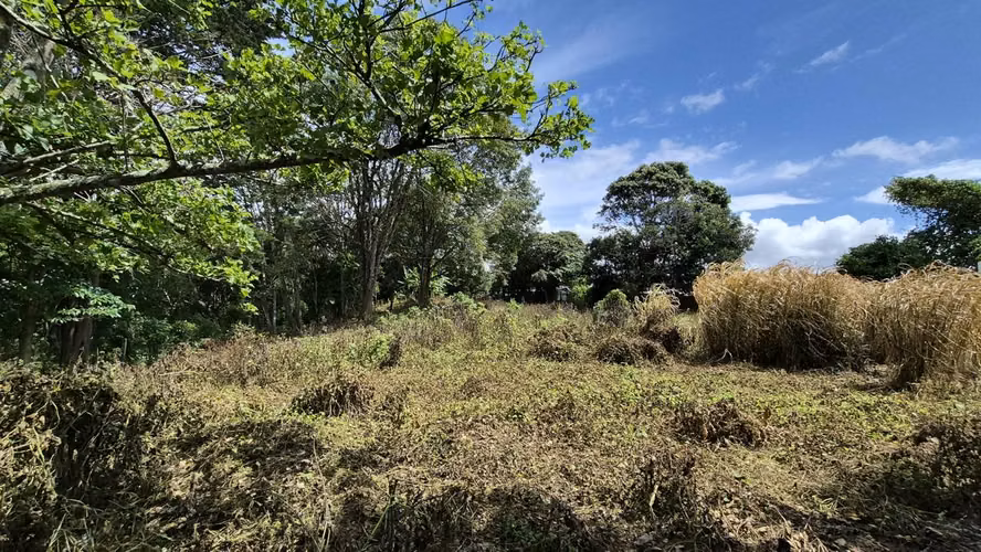 Terreno para desarrollo en Dulce Nombre, La Unión – 6.325 m²