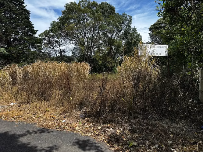 Terreno para desarrollo en Dulce Nombre, La Unión – 6.325 m²