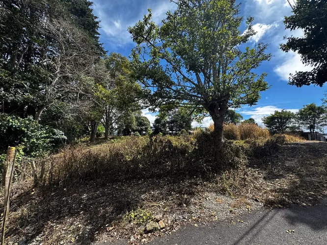 Terreno para desarrollo en Dulce Nombre, La Unión – 6.325 m²
