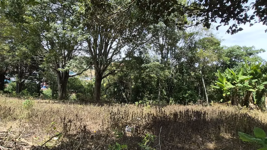 Terreno para desarrollo en Dulce Nombre, La Unión – 6.325 m²