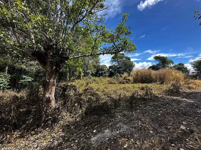 Terreno para desarrollo en Dulce Nombre, La Unión – 6.325 m²