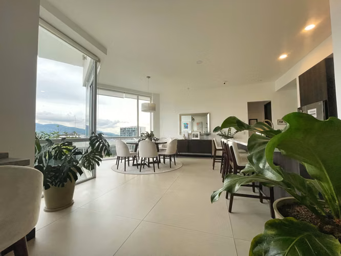 APARTAMENTO ÚNICO EN NUNCIATURA CON LÍNEA BLANCA! P623 - Imagen 4