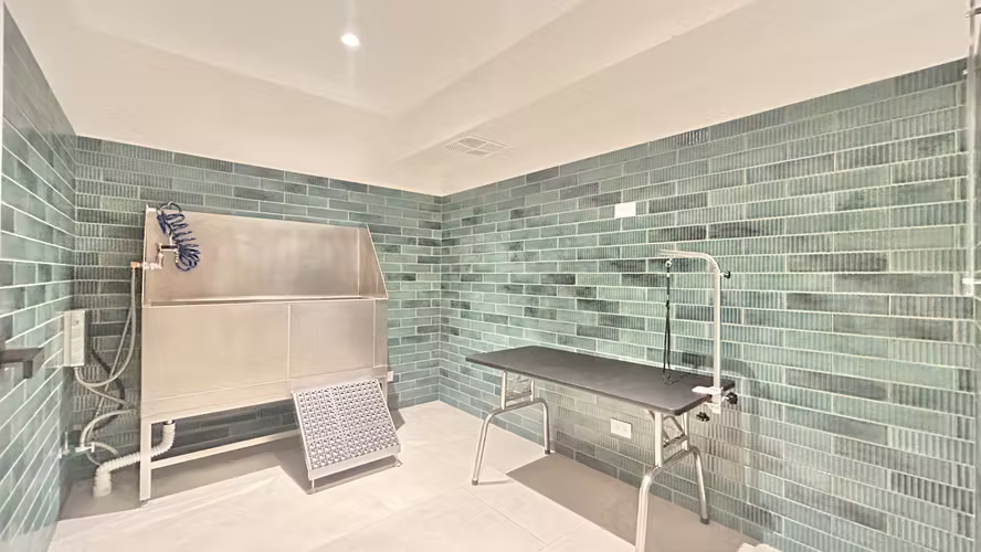  ¡Exclusividad y lujo en Nunciatura! | Apartamento en Alquiler en Torre Parkwood  - Imagen 19