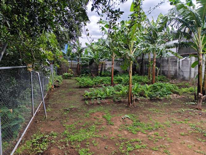 Venta de Lote uso Residencial en San Lorenzo-Heredia - Imagen 3