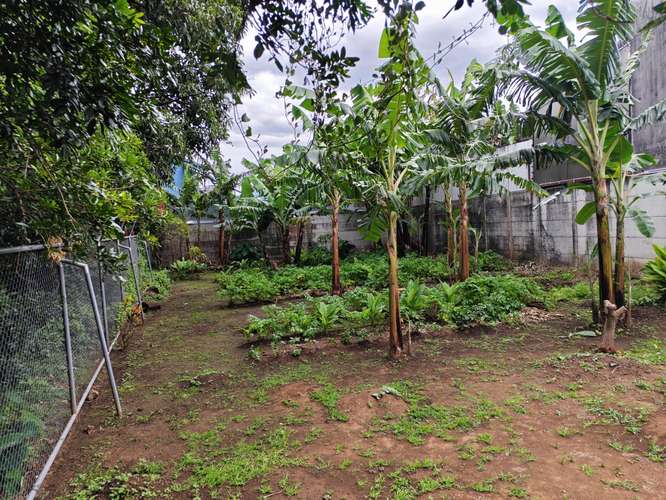 Venta de Lote uso Residencial en San Lorenzo-Heredia - Imagen 2