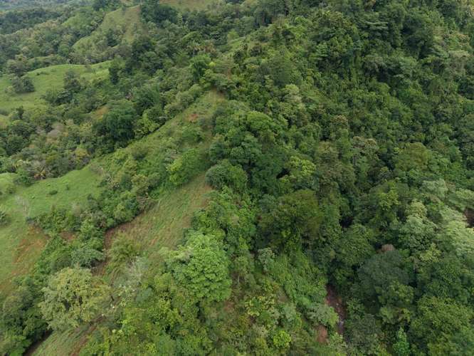 Finca con río y catarata en San Juan de Parrita