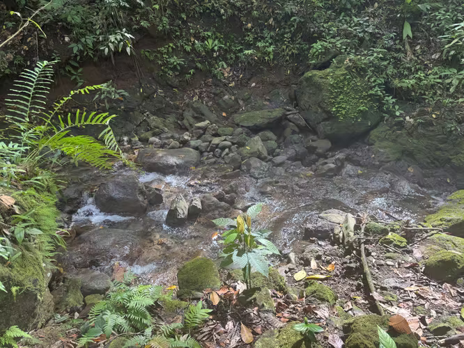 Paraíso Natural con Vista al Mar, Río y Catarata en Parrita - Imagen 4