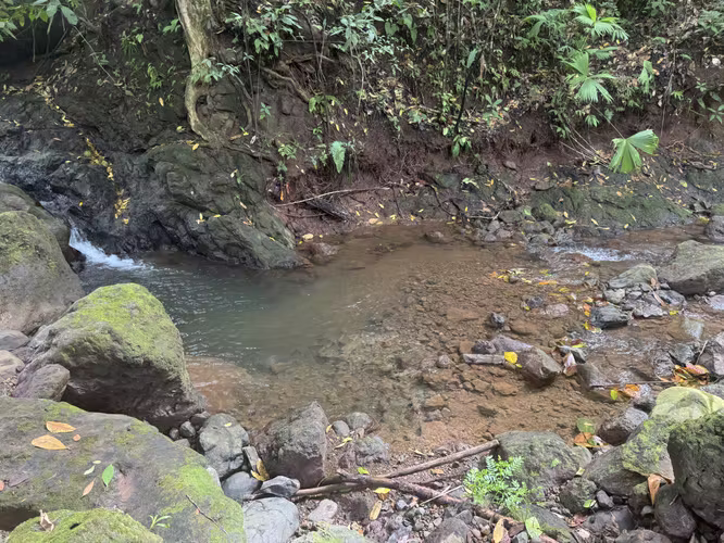 Paraíso Natural con Vista al Mar, Río y Catarata en Parrita - Imagen 7