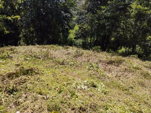 HERMOSA QUINTA A LA VENTA ESPARZA PUNTARENAS - Imagen 4