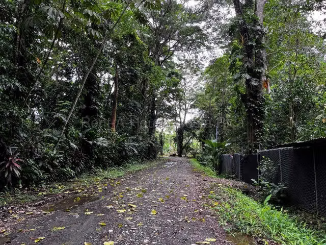 Lote sale in Puerto Viejo de Limon-Talamanca, Cahuita.