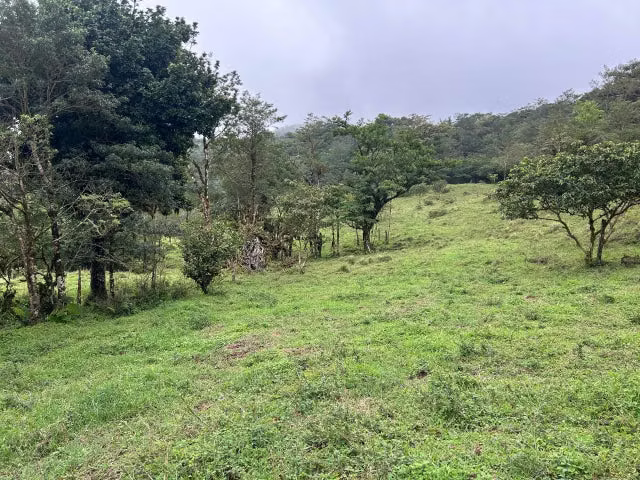 Venta de Lote en Puntarenas. 26-18 - Imagen 2