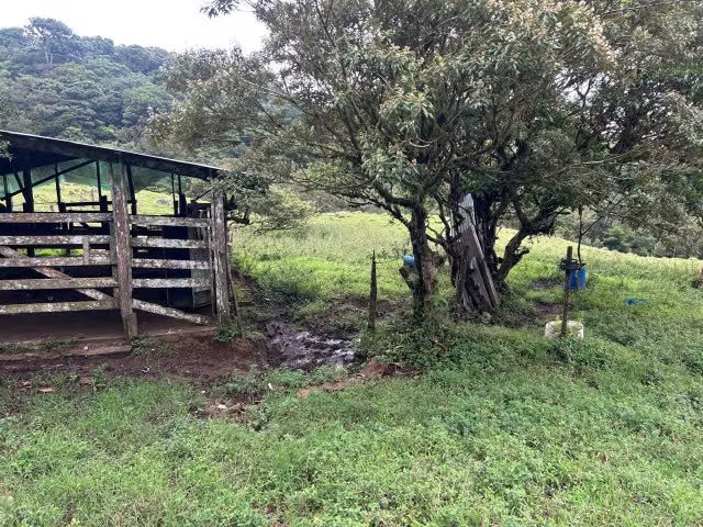Venta de Lote en Puntarenas. 26-18