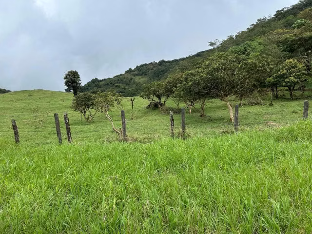 Venta de Lote en Puntarenas. 26-18 - Imagen 6