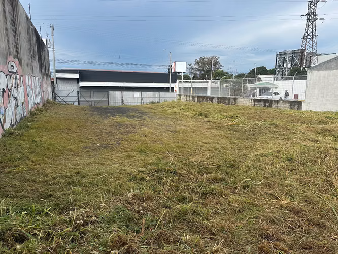 Precioso lote  PRECIO REBAJADO  - Imagen 16