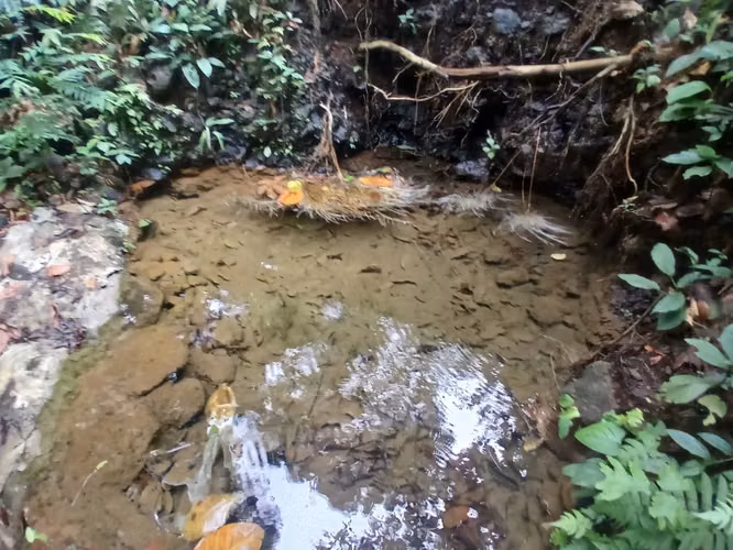  Se Vende Finca Agrícola en Horquetas de Sarapiquí – Cerro Negro 