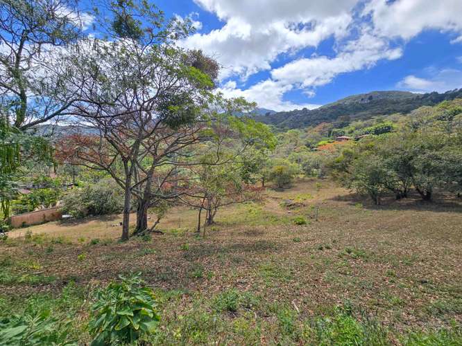 LOTE DE 3.010 M2 CON VISTA PANORÁMICA EN SAN ANTONIO DE ESCAZU (CARRIZAL) - Imagen 15
