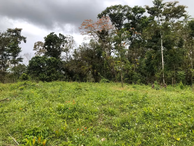 Finca en Venta 8 Hectáreas en San Carlos – Acceso al Río – Ideal Ganadería o Ecoturismo - Imagen 2