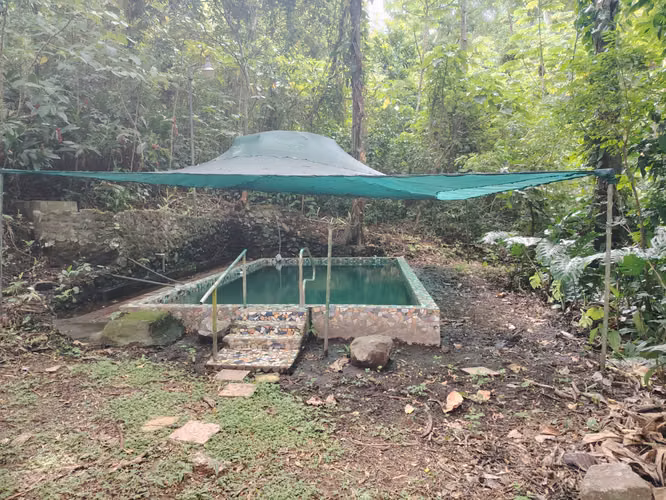 ¡Super Oportunidad en Atenas! Finca de 4 Hectáreas, 2 Casas Independientes y PiscinaPrecio Especial en Combo: $450,000 U - Imagen 5