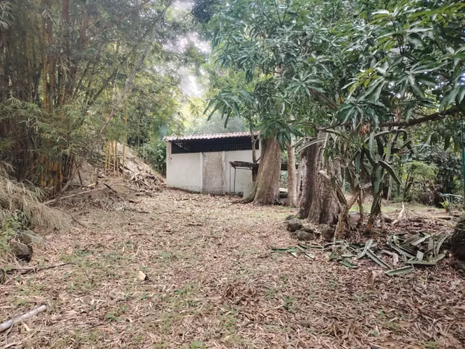 ¡Super Oportunidad en Atenas! Finca de 4 Hectáreas, 2 Casas Independientes y PiscinaPrecio Especial en Combo: $450,000 U - Imagen 20