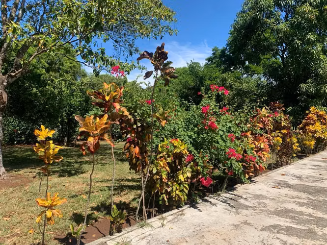 SE VENDE  PROPIEDAD SAN MATEO ALAJUELA - Imagen 13