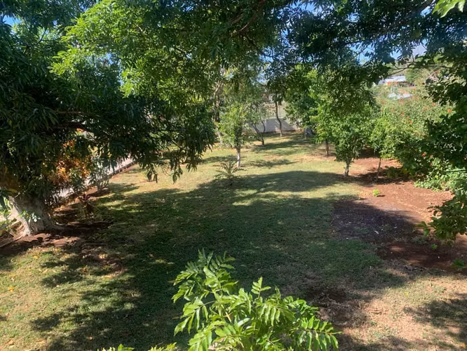 SE VENDE  PROPIEDAD SAN MATEO ALAJUELA - Imagen 11