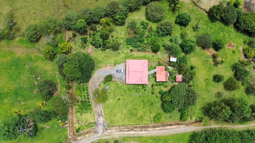 Venta de Propiedad con Casa en La Alegría de Siquirres, Limón - Imagen 3
