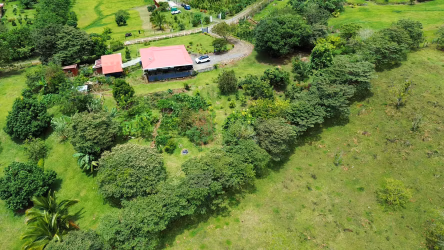 Venta de Propiedad con Casa en La Alegría de Siquirres, Limón - Imagen 9