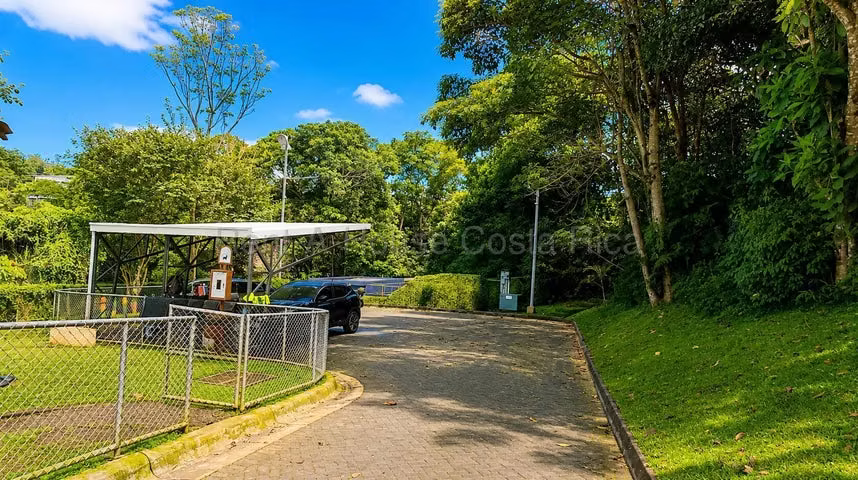 Alquiler de Apartamento en Curridabat-Granadilla. 