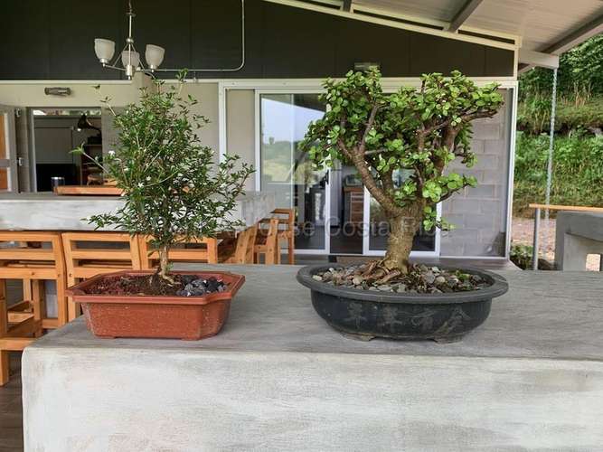 Venta de Quinta AMUEBLADA en Dota-Jardín. MJM - Imagen 2