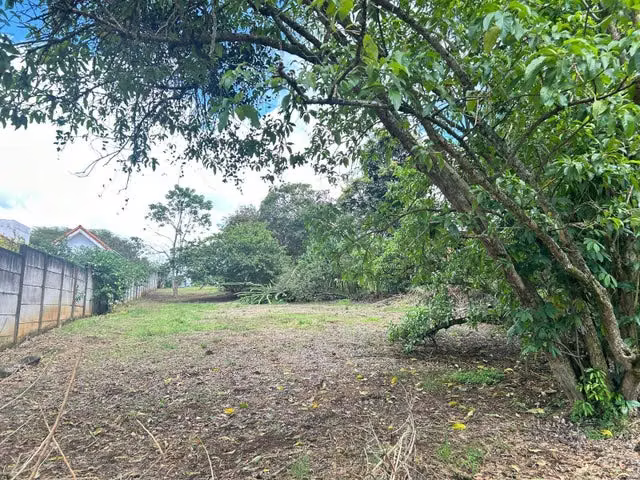 Venta de Lote en La Garita de Alajuela.  - Imagen 9