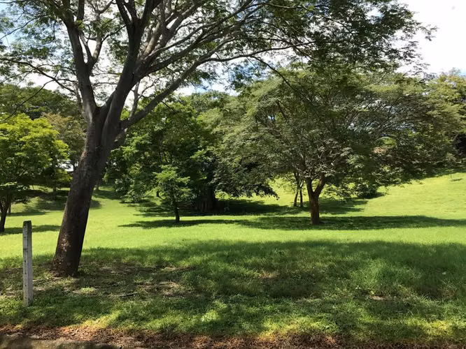 Venta de Lote en Orotina de Alajuela. 26-867