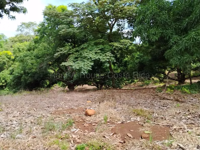 Venta de Lote en San Mateo-Labrador. 26-2228 ¡Oportunidad para Desarrolladores LCV - Imagen 5