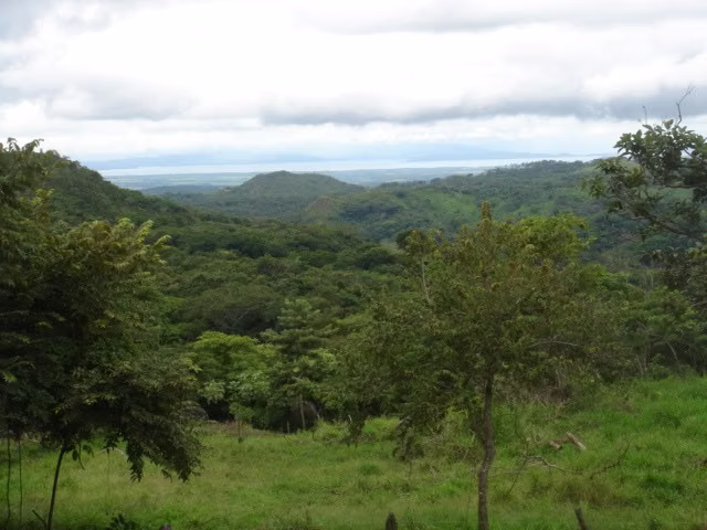 TERRENO PARA VENTA, EN PUNTARENAS. 36-286-77 - Imagen 4