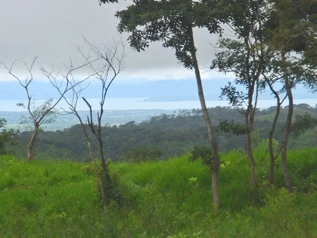 TERRENO PARA VENTA, EN PUNTARENAS. 36-286-77
