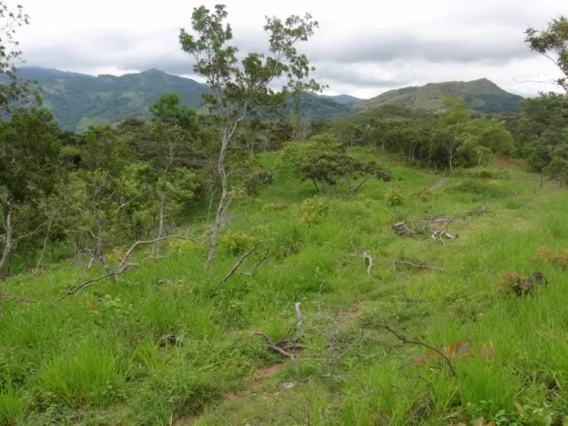 TERRENO PARA VENTA, EN PUNTARENAS. 36-286-77 - Imagen 6
