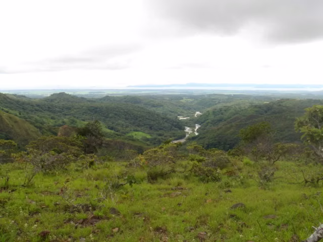 TERRENO PARA VENTA, EN PUNTARENAS. 36-286-77 - Imagen 2