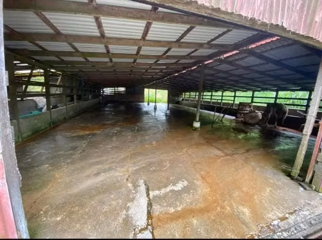 SE VENDE FINCA LECHERA – CAMINO A SAN RAMÓN - Imagen 2