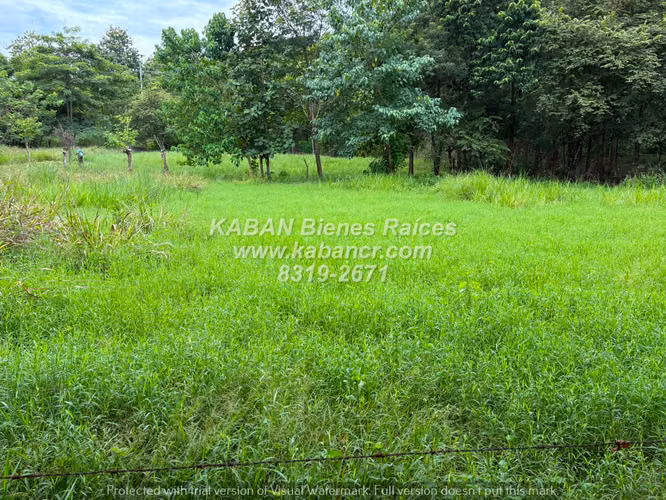 Lotes en Venta en Nandayure, Guanacaste | 1.000 m² | Agua y Electricidad - Imagen 2