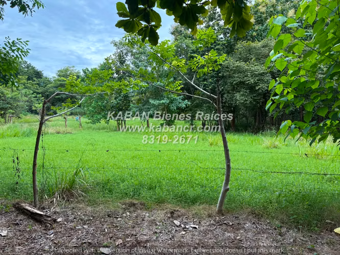 Lotes en Venta en Nandayure, Guanacaste | 1.000 m² | Agua y Electricidad - Imagen 8