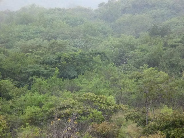 Venta de Terreno en Bagaces, Guanacaste. RAH 27-657 - Imagen 7