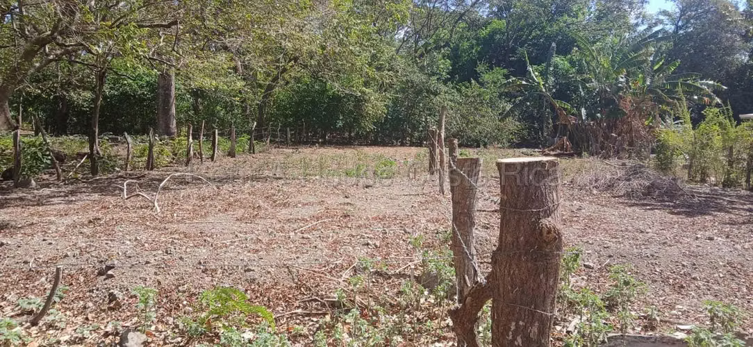 Venta de Lote en Santa Bárbara, Los Ángeles de Santa Cruz, Guanacaste. RAH 26-1603 - Imagen 4