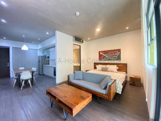 Venta de Apartamento Tipo Loft AMUEBLADO en Santa Ana.  - Imagen 4